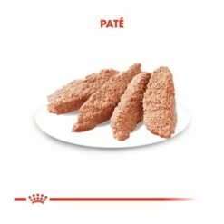 Royal Canin Digestive Care Adult Wet -Kjæledyrutstyr Salgsbutikk royal canin digestive care adult 12x85 g 24