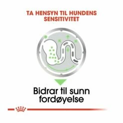 Royal Canin Digestive Care Adult Wet -Kjæledyrutstyr Salgsbutikk royal canin digestive care adult 12x85 g a0