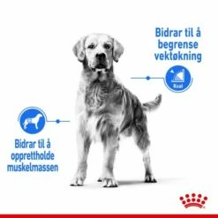 Royal Canin Maxi Light Weight Care -Kjæledyrutstyr Salgsbutikk royal canin dog maxi light weight care 04
