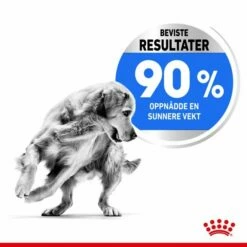 Royal Canin Maxi Light Weight Care -Kjæledyrutstyr Salgsbutikk royal canin dog maxi light weight care ab