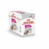 Royal Canin Dog Adult All Sizes Exigent 12x85 G 1 Royal Canin Dog Adult All Sizes Exigent 12x85 G -Kjæledyrutstyr Salgsbutikk royal canin exigent adult 12x85 g 19