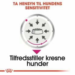 Royal Canin Dog Adult All Sizes Exigent 12x85 G -Kjæledyrutstyr Salgsbutikk royal canin exigent adult 12x85 g 92