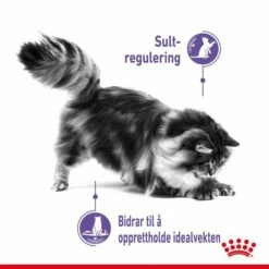 Royal Canin Appetite Control Gravy 12 X 85 G -Kjæledyrutstyr Salgsbutikk royal canin fcn appetite control gravy 12x85 g a5