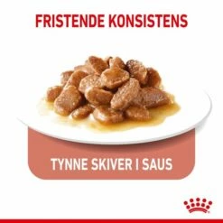 Royal Canin Appetite Control Gravy 12 X 85 G -Kjæledyrutstyr Salgsbutikk royal canin fcn appetite control gravy 12x85 g af