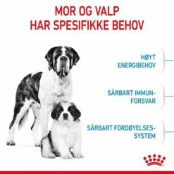 Royal Canin Giant Starter -Kjæledyrutstyr Salgsbutikk royal canin giant starter mother babydog 9f