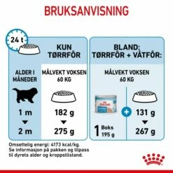 Royal Canin Giant Starter -Kjæledyrutstyr Salgsbutikk royal canin giant starter mother babydog a4