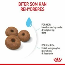 Royal Canin Giant Starter -Kjæledyrutstyr Salgsbutikk royal canin giant starter mother babydog dc
