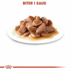 Royal Canin Instinctive +7 Gravy Wet (12x85g) -Kjæledyrutstyr Salgsbutikk royal canin instinctive 7 in gravy 12 x 85 g a3