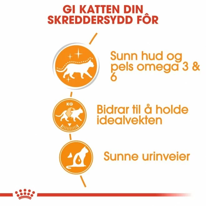 Royal Canin Intense Beauty Våtfoder (12x85g) 6 Royal Canin Intense Beauty Våtfoder (12x85g) - Bilde 4