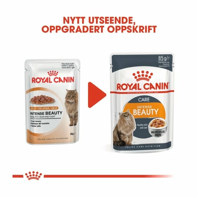 Royal Canin Intense Beauty I Gelé (12x85g) 11 Royal Canin Intense Beauty I Gelé (12x85g) - Bilde 9