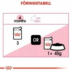 Royal Canin Wet Kitten In Gravy (12x85g) -Kjæledyrutstyr Salgsbutikk royal canin kitten gravy 12 x 85 g d6