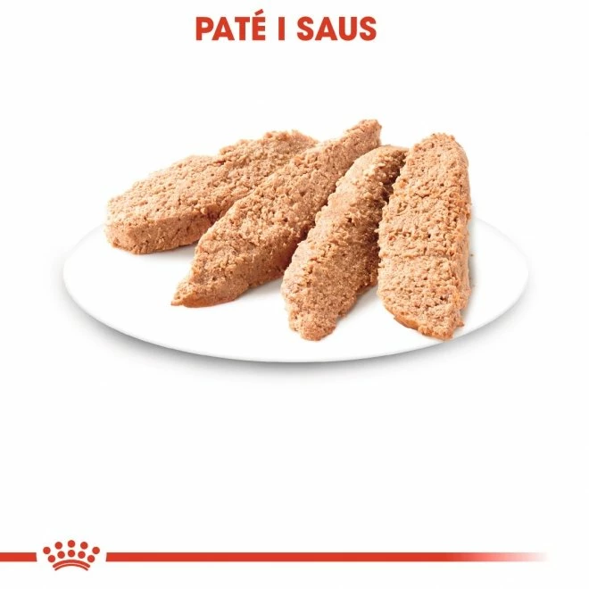 Royal Canin Kitten Loaf 12x85 G 5 Royal Canin Kitten Loaf 12x85 G - Bilde 3