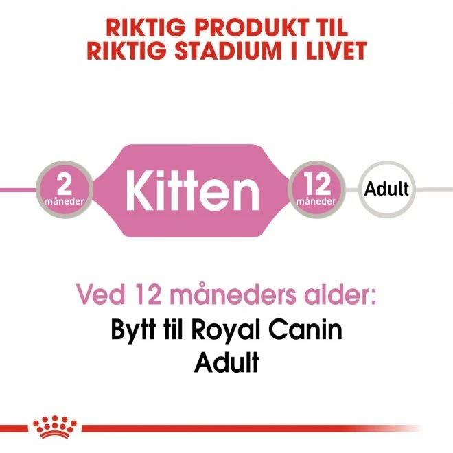 Royal Canin Kitten Loaf 12x85 G 6 Royal Canin Kitten Loaf 12x85 G - Bilde 4