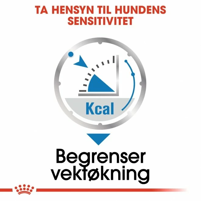 Royal Canin Light Weight Care Wet 6 Royal Canin Light Weight Care Wet - Bilde 4