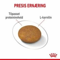 Royal Canin Light Weight Care X-Small 1,5 Kg 12 Royal Canin Light Weight Care X-Small 1,5 Kg -Kjæledyrutstyr Salgsbutikk royal canin light weight care x small adult 15 kg c9