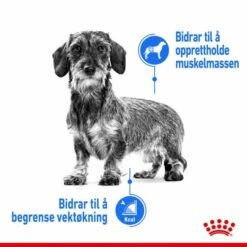 Royal Canin Light Weight Care X-Small 1,5 Kg 16 Royal Canin Light Weight Care X-Small 1,5 Kg -Kjæledyrutstyr Salgsbutikk royal canin light weight care x small adult 15 kg d0