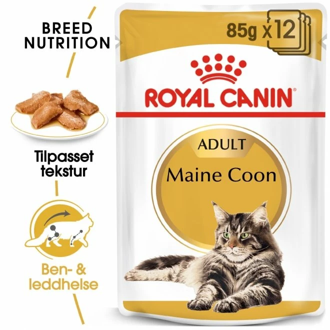 ROYAL CANIN Maine Coon Wet (12x85g) 4 ROYAL CANIN Maine Coon Wet (12x85g) - Bilde 2