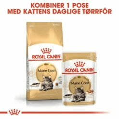 ROYAL CANIN Maine Coon Wet (12x85g) 10 ROYAL CANIN Maine Coon Wet (12x85g) -Kjæledyrutstyr Salgsbutikk royal canin maine coon 12 x 85 g b6