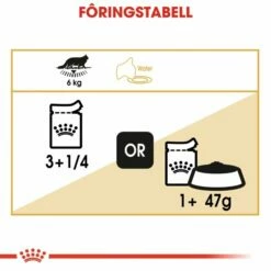 ROYAL CANIN Maine Coon Wet (12x85g) 11 ROYAL CANIN Maine Coon Wet (12x85g) -Kjæledyrutstyr Salgsbutikk royal canin maine coon 12 x 85 g cc