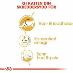 ROYAL CANIN Maine Coon Wet (12x85g) 13 ROYAL CANIN Maine Coon Wet (12x85g) -Kjæledyrutstyr Salgsbutikk royal canin maine coon 12 x 85 g ef