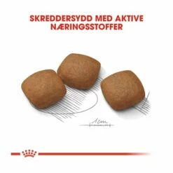 Royal Canin Maxi Joint Care -Kjæledyrutstyr Salgsbutikk royal canin maxi joint care eb