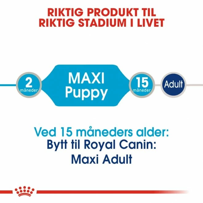 Royal Canin Maxi Puppy Våtfôr (10x140g) 6 Royal Canin Maxi Puppy Våtfôr (10x140g) - Bilde 4