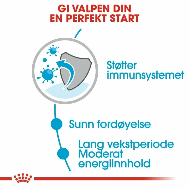 Royal Canin Maxi Puppy Våtfôr (10x140g) 4 Royal Canin Maxi Puppy Våtfôr (10x140g) - Bilde 2