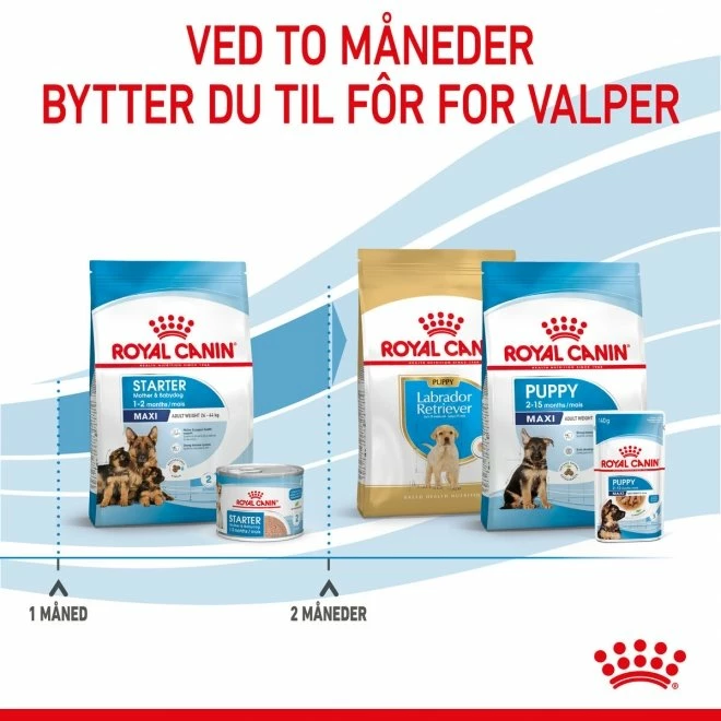 Royal Canin Maxi Starter 8 Royal Canin Maxi Starter - Bilde 6