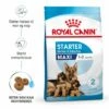 Royal Canin Maxi Starter -Kjæledyrutstyr Salgsbutikk royal canin maxi starter mother babydog d6