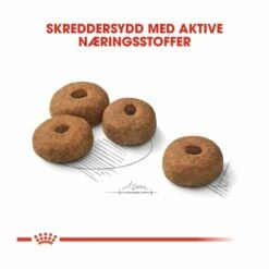 ROYAL CANIN None -Kjæledyrutstyr Salgsbutikk royal canin maxi sterilised 41