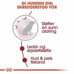 Royal Canin Medium Ageing 10+ Våtfôr (10x140g) -Kjæledyrutstyr Salgsbutikk royal canin medium ageing 10x140g 37