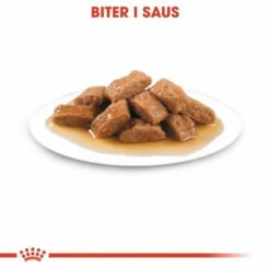 Royal Canin Medium Ageing 10+ Våtfôr (10x140g) -Kjæledyrutstyr Salgsbutikk royal canin medium ageing 10x140g 43