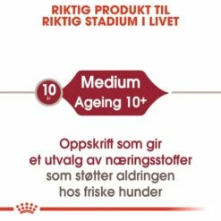 Royal Canin Medium Ageing 10+ Våtfôr (10x140g) -Kjæledyrutstyr Salgsbutikk royal canin medium ageing 10x140g e9