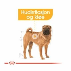 Royal Canin Medium Dermacomfort -Kjæledyrutstyr Salgsbutikk royal canin medium dermacomfort 1e