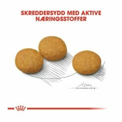 Royal Canin Medium Dermacomfort -Kjæledyrutstyr Salgsbutikk royal canin medium dermacomfort 36