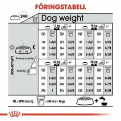 Royal Canin Medium Digestive Care -Kjæledyrutstyr Salgsbutikk royal canin medium digestive care 3e