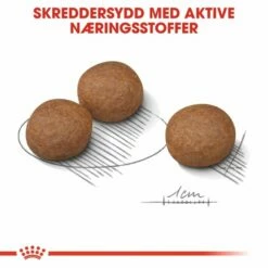 Royal Canin Medium Digestive Care -Kjæledyrutstyr Salgsbutikk royal canin medium digestive care af