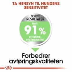 Royal Canin Medium Digestive Care -Kjæledyrutstyr Salgsbutikk royal canin medium digestive care df