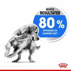 Royal Canin Medium Light Weight Care -Kjæledyrutstyr Salgsbutikk royal canin medium light weightcare 53