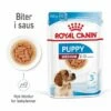 Royal Canin Medium Puppy Våtfôr (10x140g) -Kjæledyrutstyr Salgsbutikk royal canin medium puppy 10x140g 28