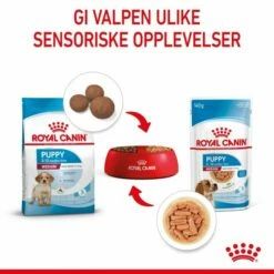 Royal Canin Medium Puppy Våtfôr (10x140g) 14 Royal Canin Medium Puppy Våtfôr (10x140g) -Kjæledyrutstyr Salgsbutikk royal canin medium puppy 10x140g 5a