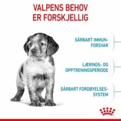 Royal Canin Medium Puppy -Kjæledyrutstyr Salgsbutikk royal canin medium puppy 73
