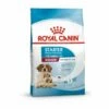 Royal Canin Medium Starter 1 Royal Canin Medium Starter -Kjæledyrutstyr Salgsbutikk royal canin medium starter mother babydog 0d