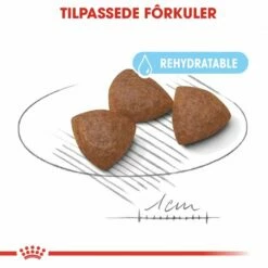 Royal Canin Medium Starter -Kjæledyrutstyr Salgsbutikk royal canin medium starter mother babydog 82