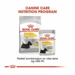 Royal Canin Mini Dermacomfort -Kjæledyrutstyr Salgsbutikk royal canin mini dermacomfort 66