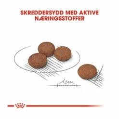 Royal Canin Mini Digestive Care -Kjæledyrutstyr Salgsbutikk royal canin mini digestive care p45706 29