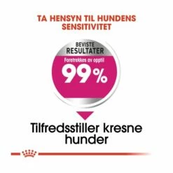 Royal Canin Mini Exigent 13 Royal Canin Mini Exigent -Kjæledyrutstyr Salgsbutikk royal canin mini exigent 69