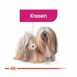 Royal Canin Mini Exigent 14 Royal Canin Mini Exigent -Kjæledyrutstyr Salgsbutikk royal canin mini exigent 82