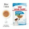 Royal Canin Mini Puppy Våtfôr (12x85g) -Kjæledyrutstyr Salgsbutikk royal canin mini puppy 12x85g 3b