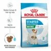 Royal Canin Mini Starter Mother & Babydog 2 Royal Canin Mini Starter Mother & Babydog -Kjæledyrutstyr Salgsbutikk royal canin mini starter mother babydog 18
